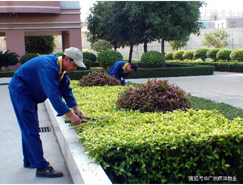 威廉希尔足球官网：太原恒大绿洲绿化工程